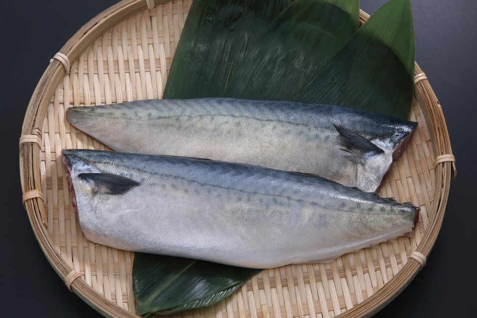 サバ　切り身　写真