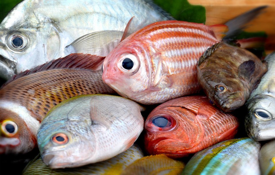 潮目は回遊魚の宝庫 知らないと釣果が上がらない 爆釣を目指して潮目の見つけかたをマスターしよう