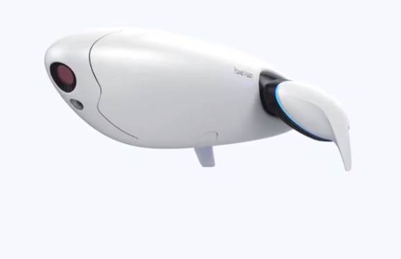 パワードルフィン　画像