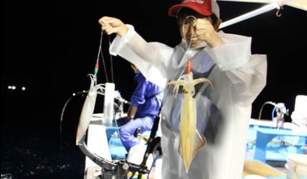 イカ釣り　スッテ　釣り人　写真