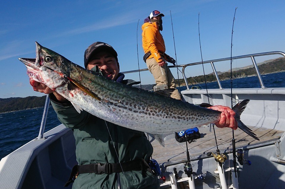 サワラ　男性　写真