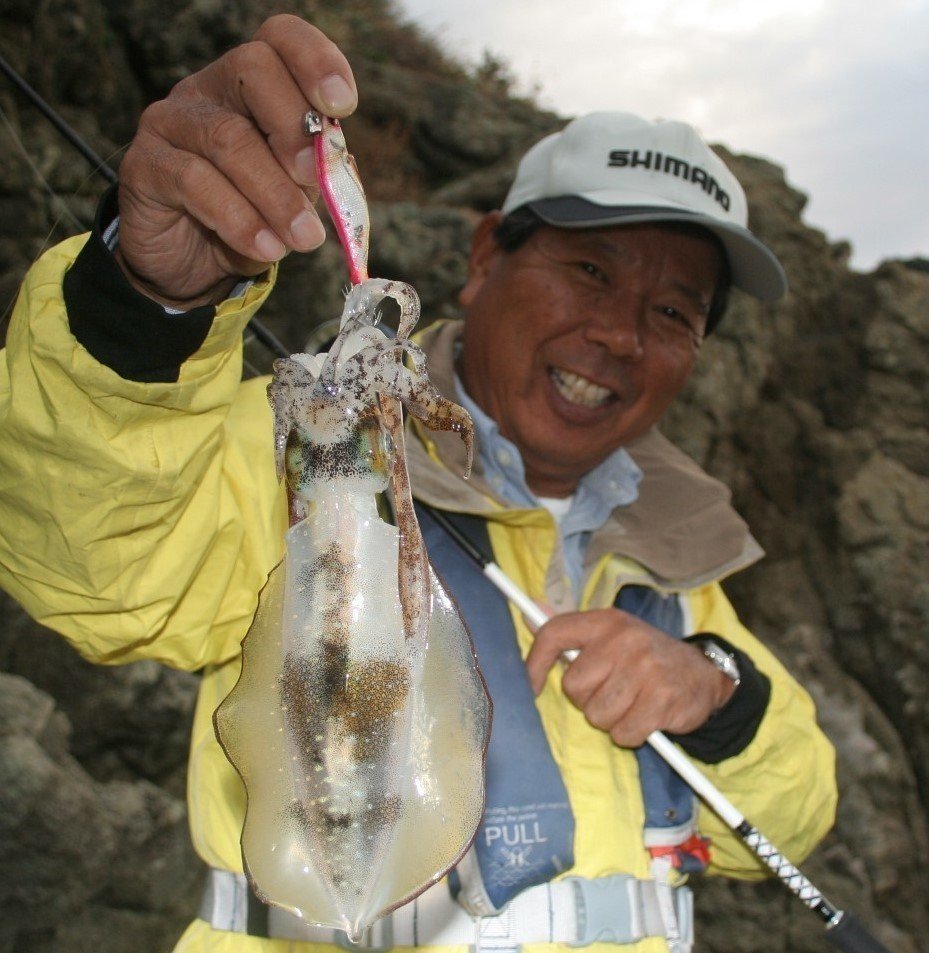 アオリイカのウキ釣りに挑戦 初心者でも入門しやすくオススメ その釣り方や必要なタックルまで徹底解説