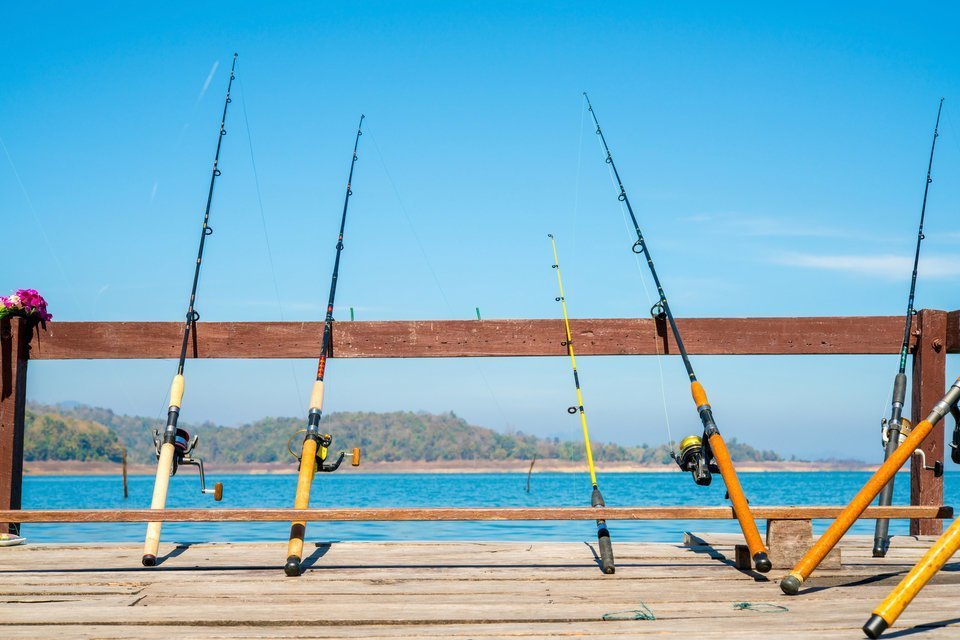 ロッド 海 写真