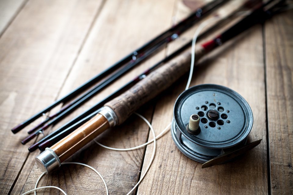 ロッド ライン 写真