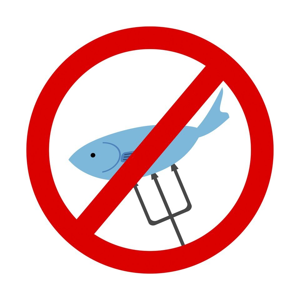 密漁　イラスト