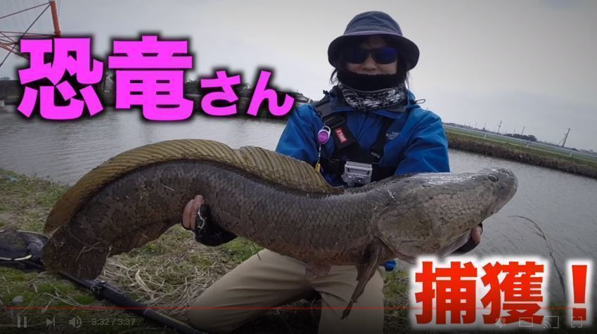 ブラックバスを釣るはずが巨大魚が釣れた モンスターサイズのライギョとの戦いの全貌をご紹介 動画 Sotoshiru ソトシル