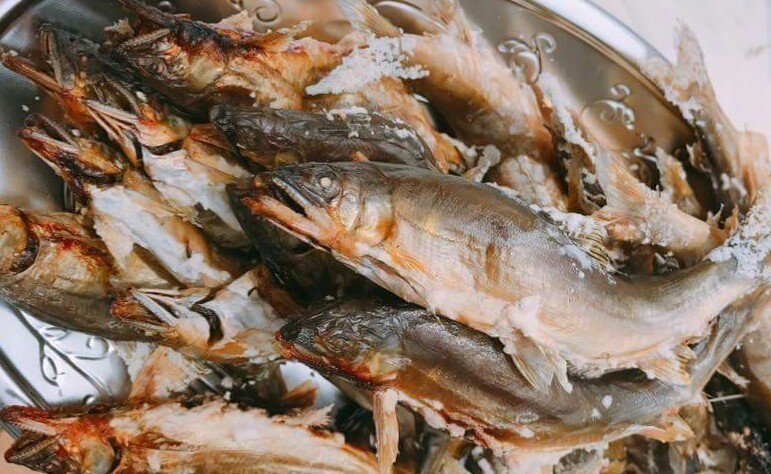アユ塩焼き 写真