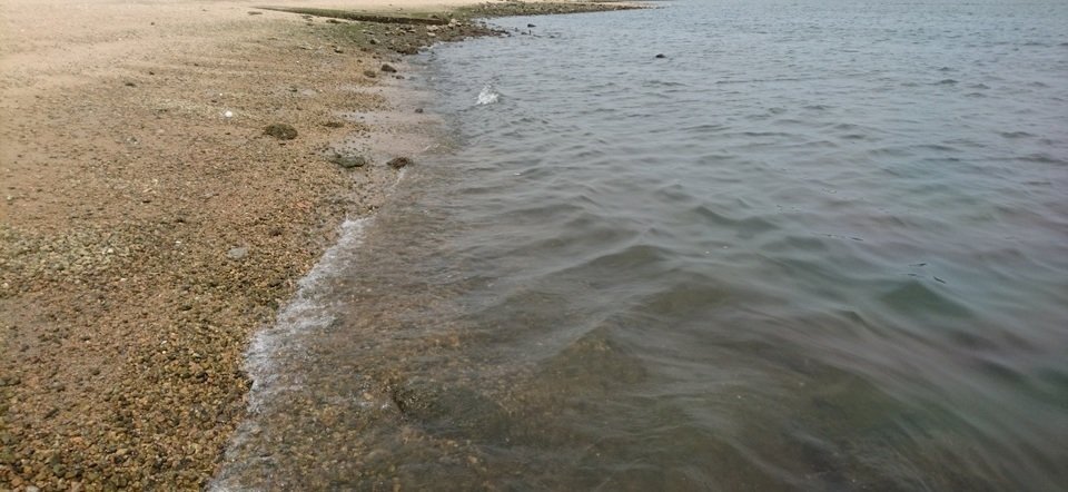 砂浜 写真
