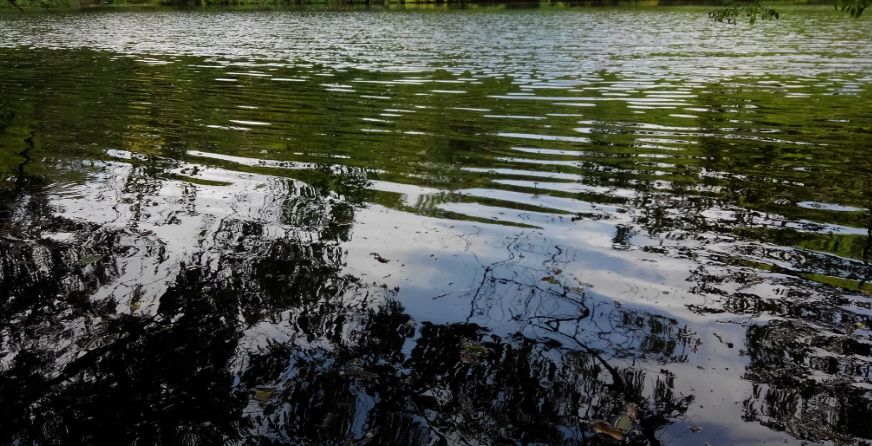荒れる水面と落ち着いた水面