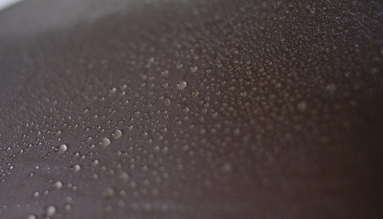 水をはじく写真