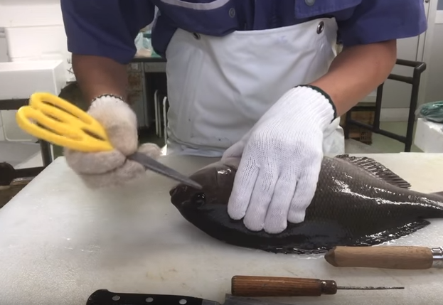 魚　人　手　写真