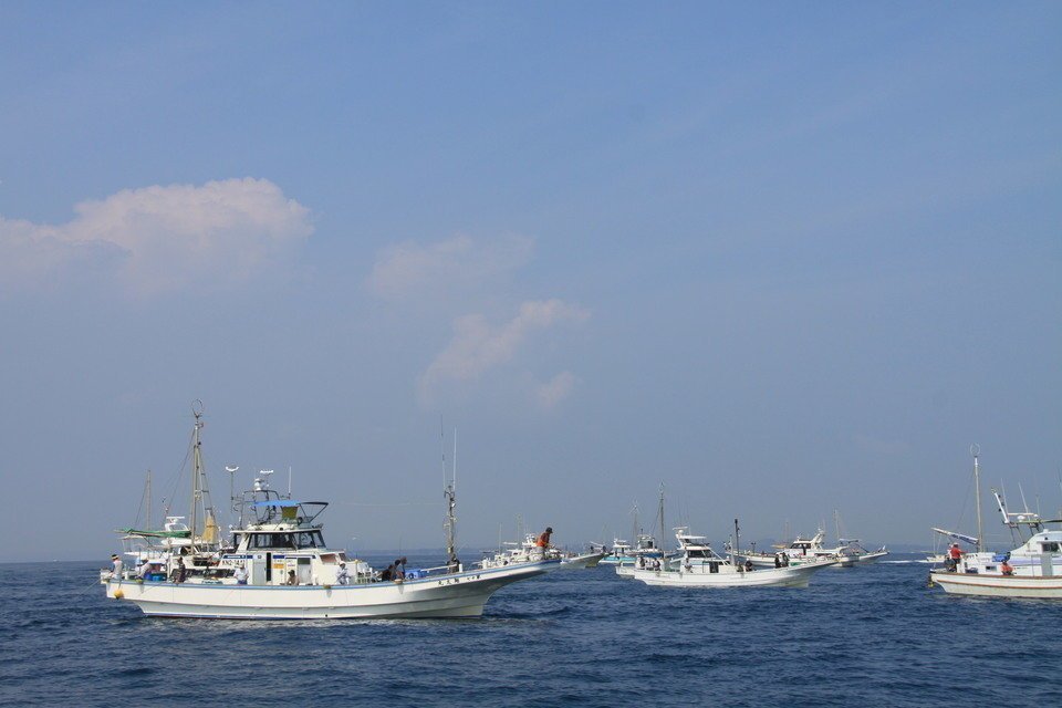 釣り船　船団　写真