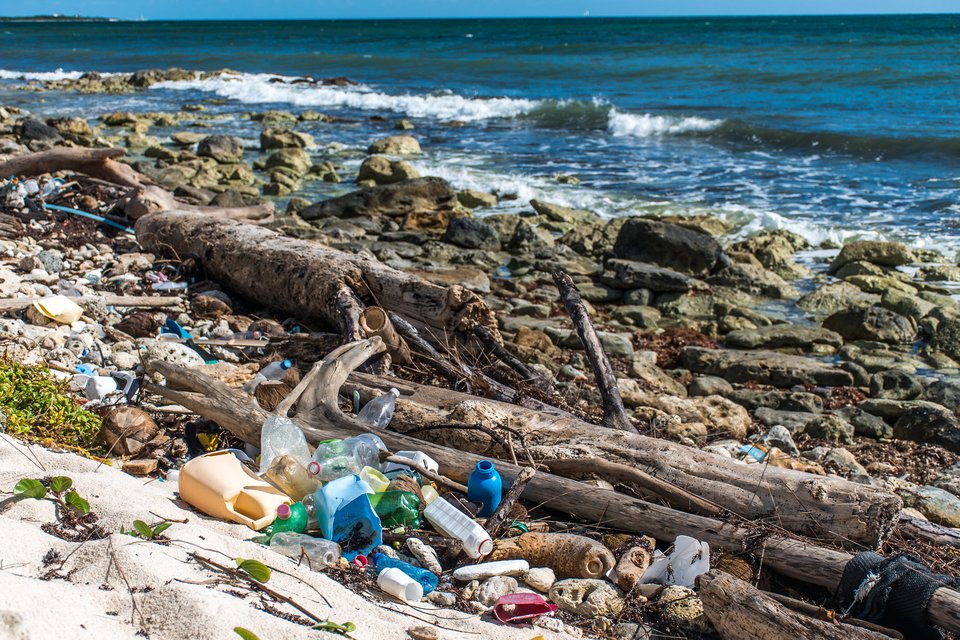 50年には海にいる魚よりプラスチックのゴミの方が多くなる 人気モデル ローラさんのsns投稿から海の環境問題について考えてみよう