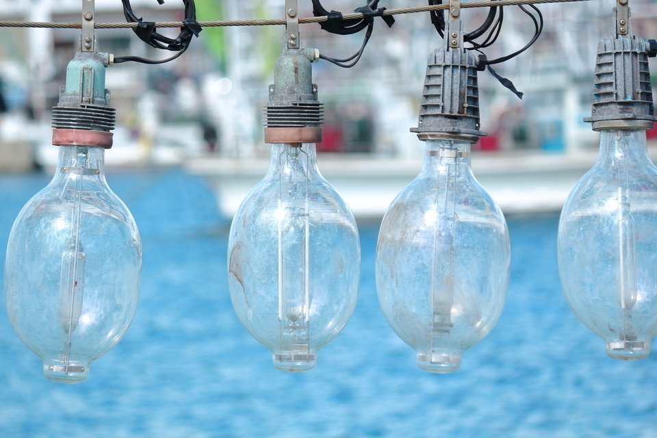 イカ　集魚灯　写真