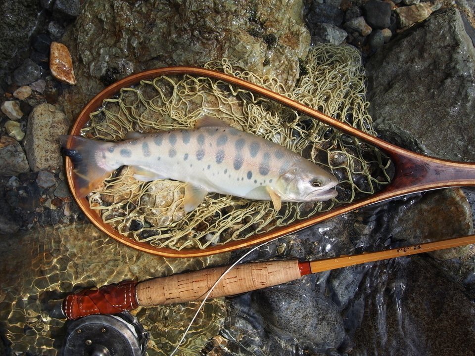フライフィッシング タックル ヤマメ 釣り