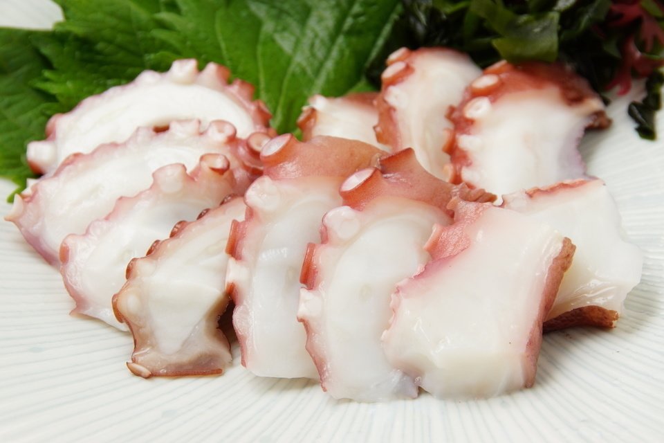 タコ　刺身　写真