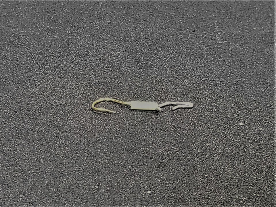 フックタイプのサカサバリ　写真