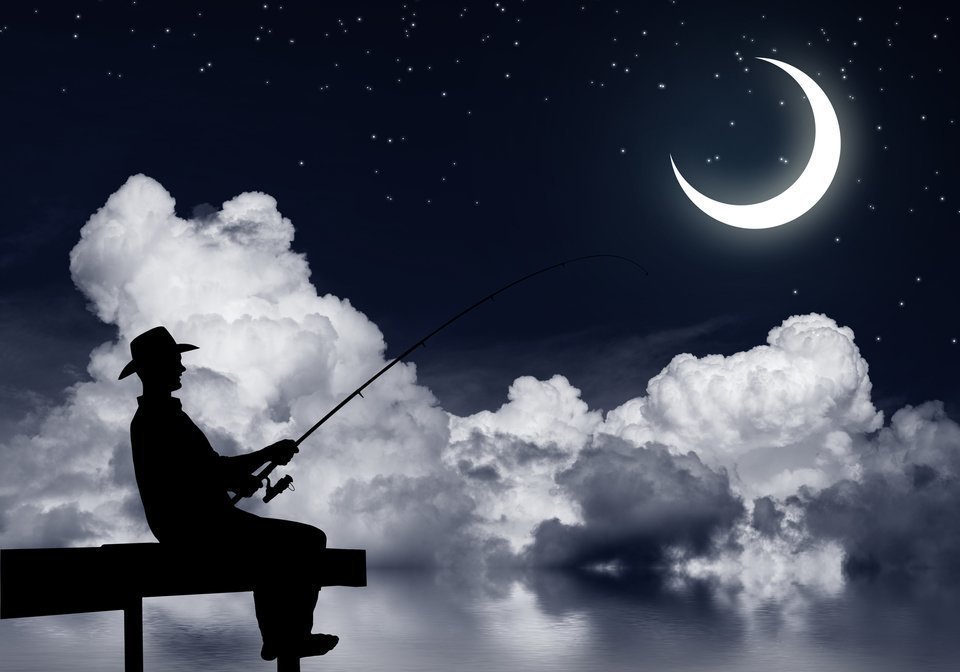 夜釣り　ウナギ