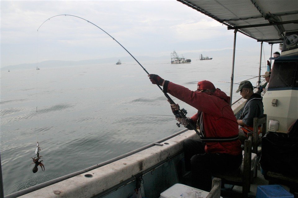 タコ釣り　船上　釣り人　写真