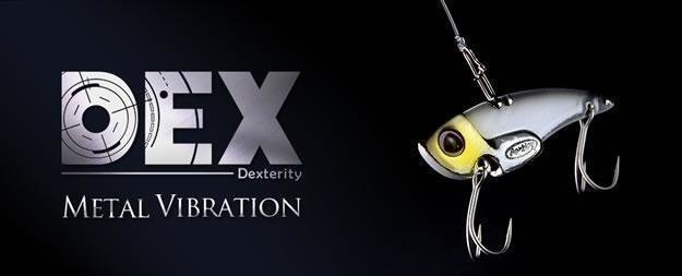 デックス　写真