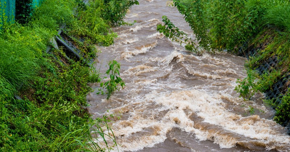 川　濁流　写真