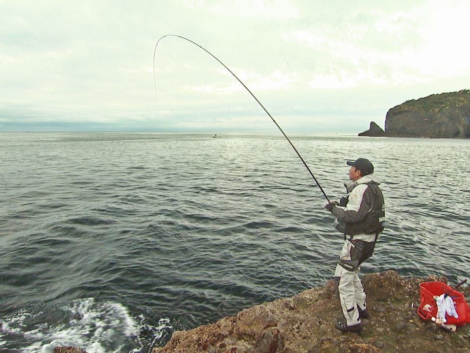 ブダイ釣り　写真
