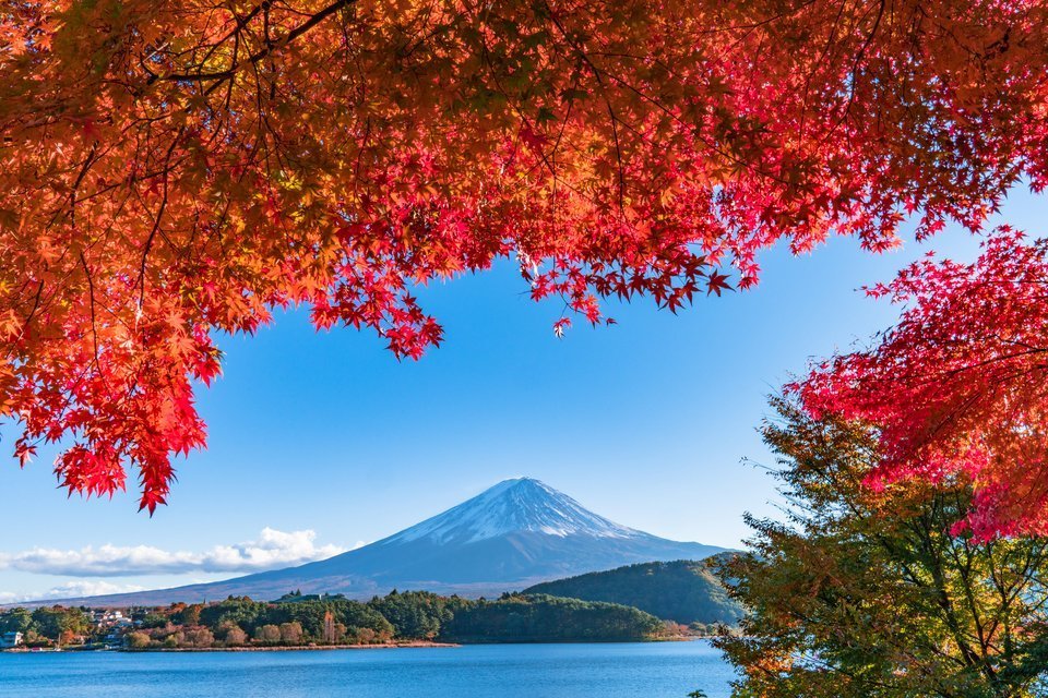 秋 富士山 紅葉 写真