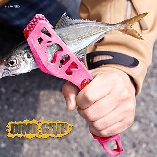 魚 写真