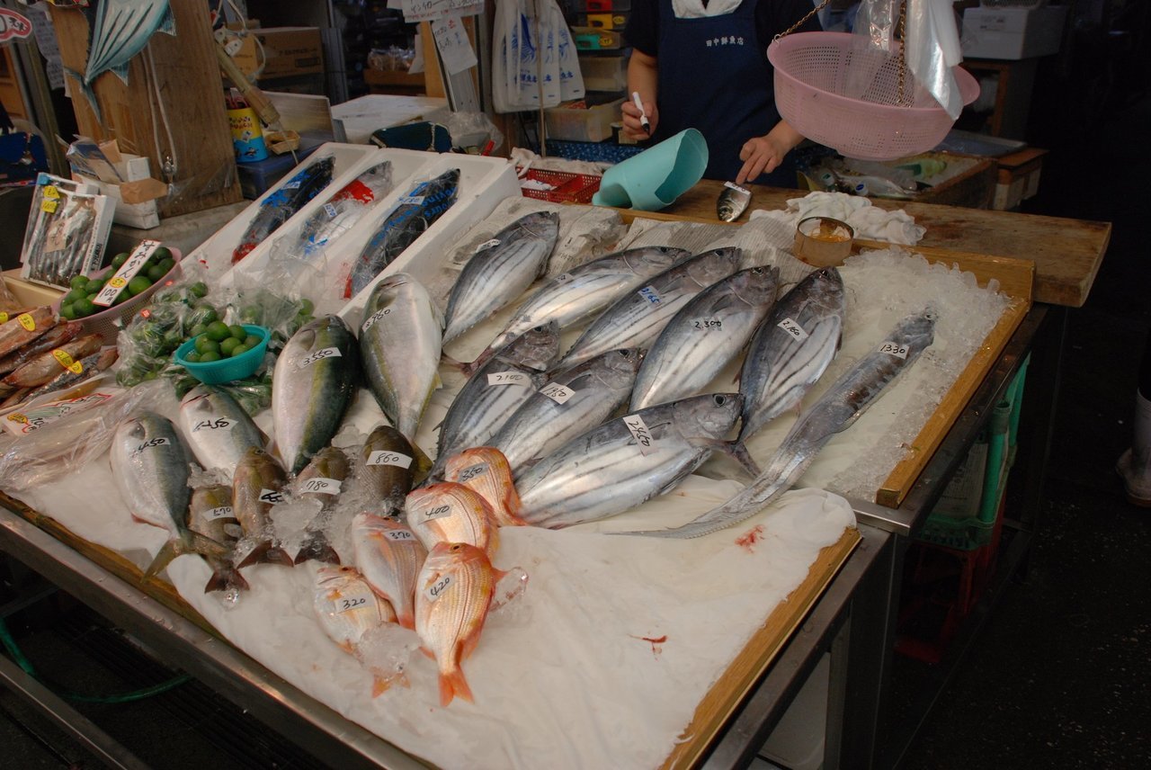 ギマって知ってる 外道なのに可愛くて超ウマい 捌き方や食べ方 毒の有無も含めてご紹介します