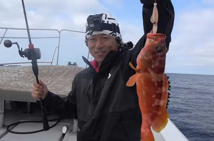 人 アカハタ 写真