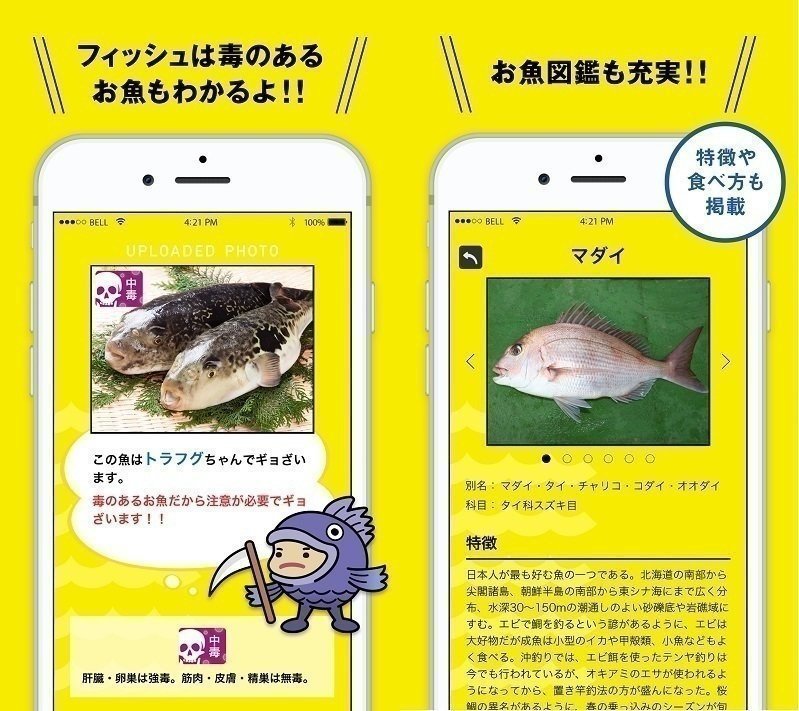 無料 魚図鑑aiアプリ フィッシュ アップデート情報 お刺身も判別が可能になったよ 無料 魚図鑑aiアプリ フィッシュ アップデート情報 お刺身も判別が可能になったよ