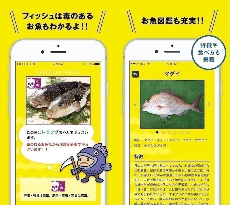 無料 魚図鑑aiアプリ フィッシュ アップデート情報 お刺身も判別が可能になったよ
