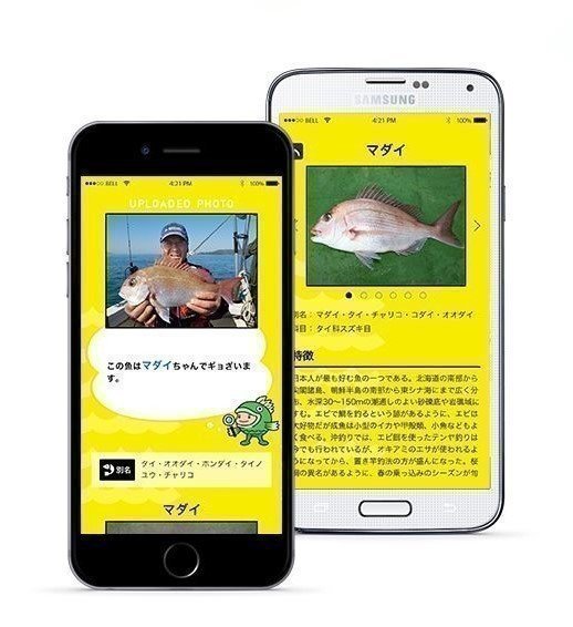 無料 魚図鑑aiアプリ フィッシュ アップデート情報 お刺身も判別が可能になったよ