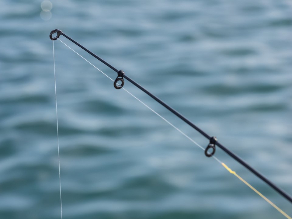 ライン ロッド 写真