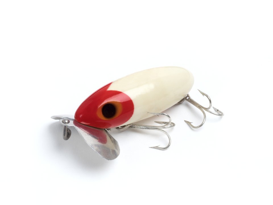 トップウォーター ルアー 写真