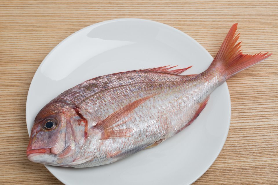 無料アプリ 魚図鑑aiアプリ フィッシュ の魚判別技術は日本最先端 よく似た魚も簡単 正確に見分けちゃうってホント