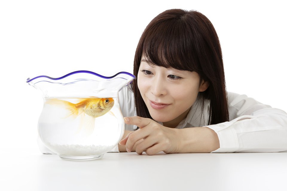 金魚鉢　金魚　女性　写真