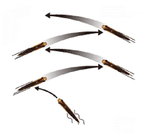 モアザン ミニエント　画像