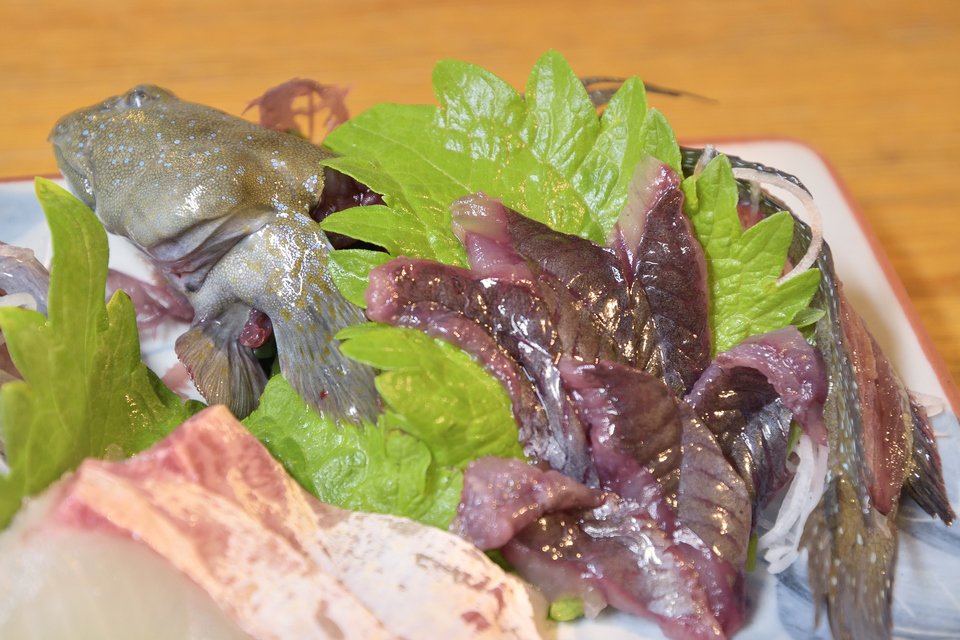 ムツゴロウ　写真