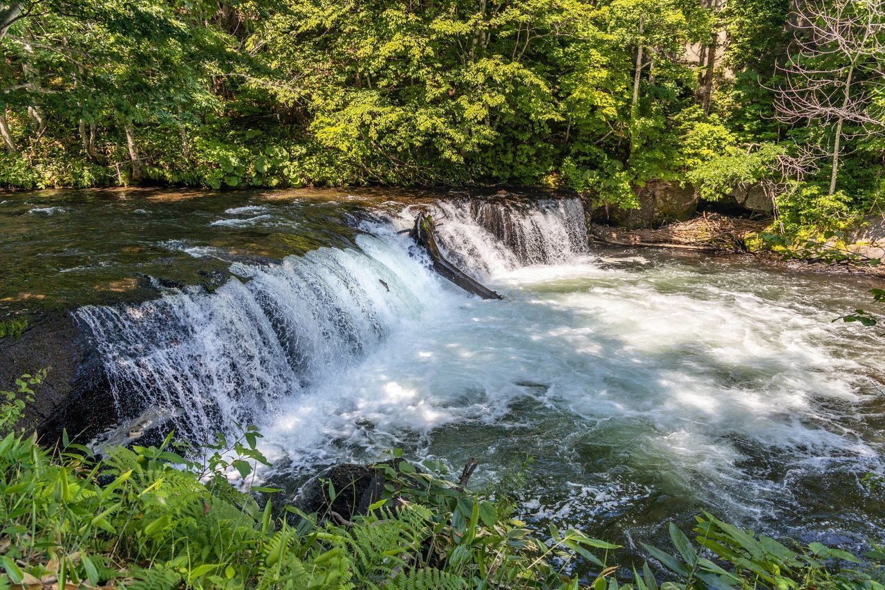 流れが急な川の写真
