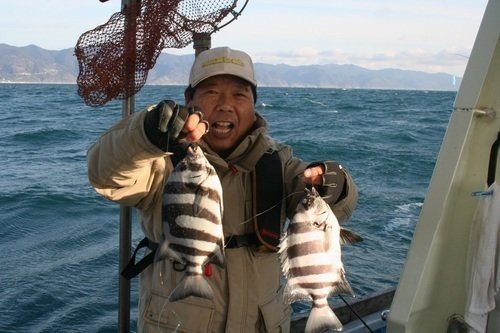 イシダイ メス 男性 海 釣り船