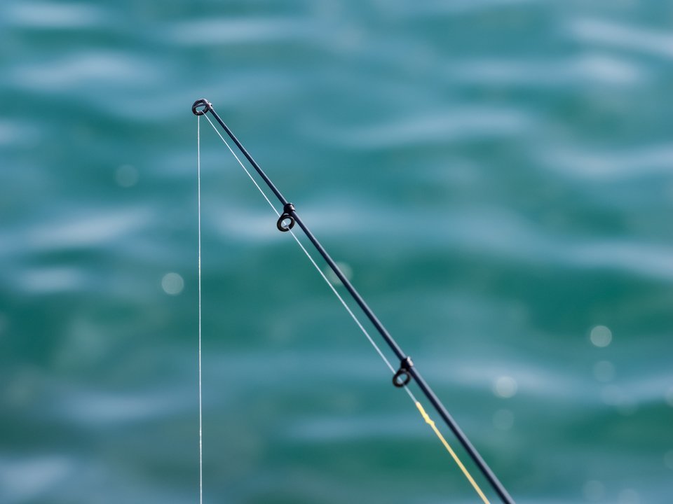 PEライン　写真