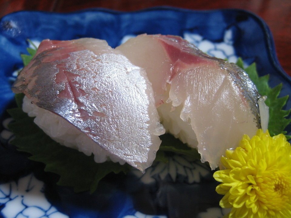 アジ　寿司　写真