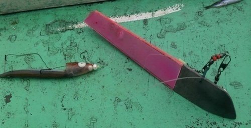 バケ　ハリス　エサ　写真