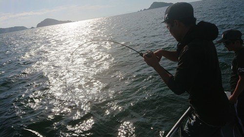 男性　釣り竿　釣り船　海　写真
