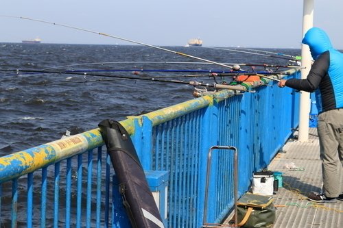 男性　釣り竿　釣り道具　海　写真
