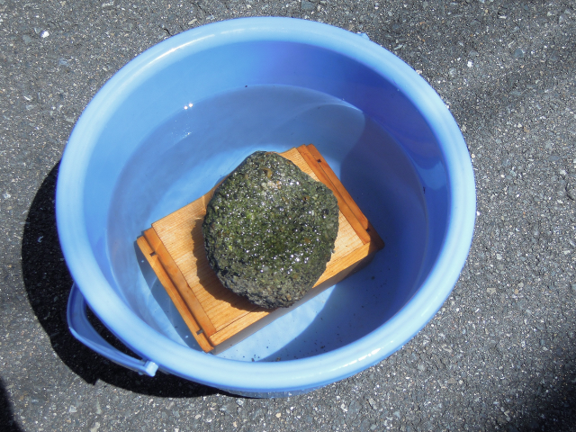 アオイソメの保存に最適な木のエサ箱の写真