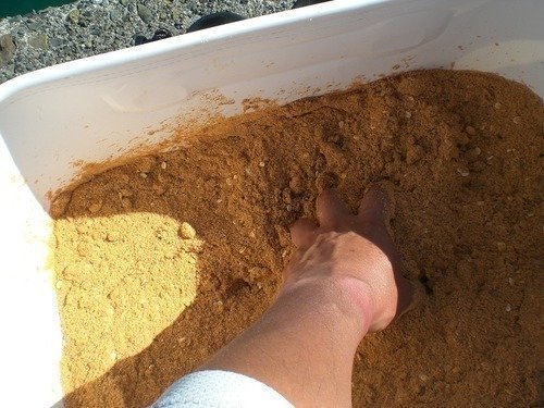 ウキダンゴ　手　写真