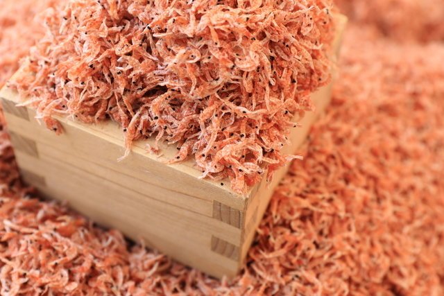 オキアミ　エサ