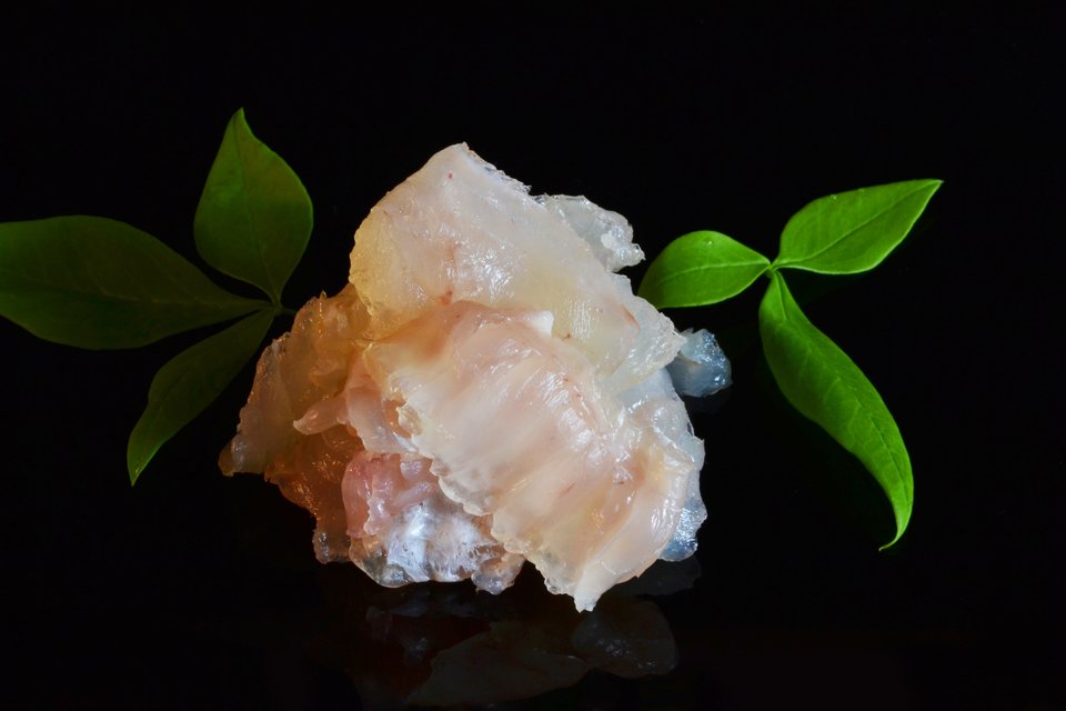 ヒラメ　昆布締め　写真